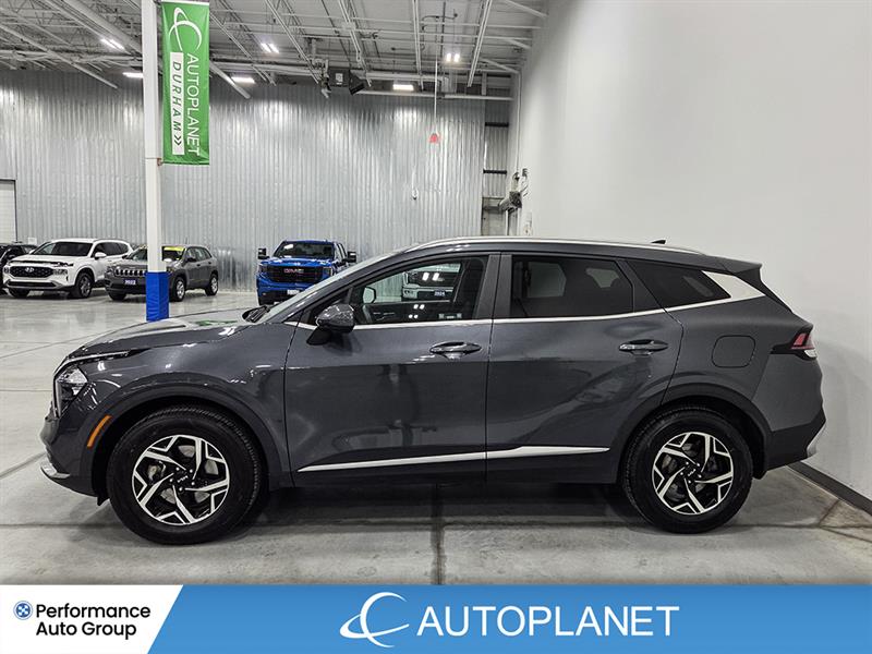 kia Sportage 2023 - 4