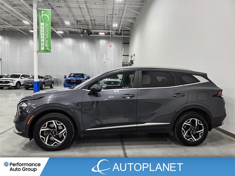 kia Sportage 2023 - 4