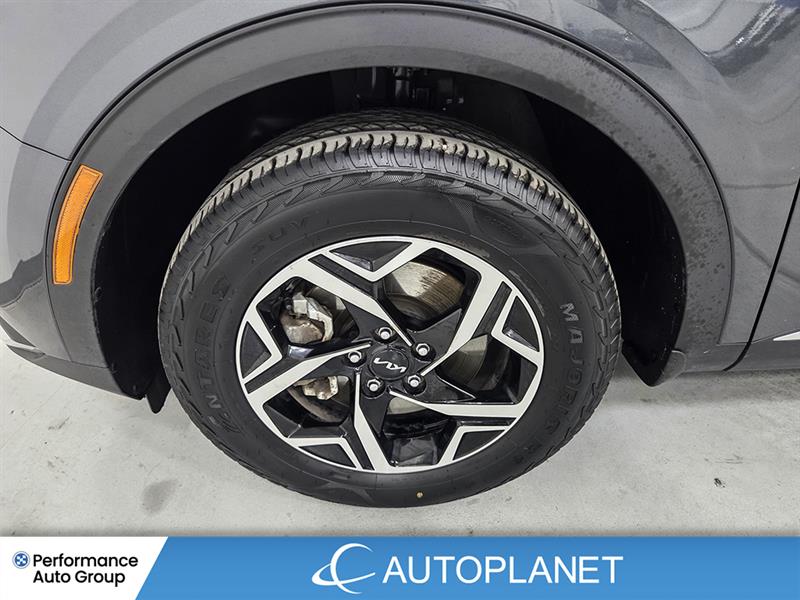 kia Sportage 2023 - 12