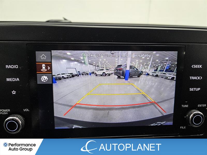 kia Sportage 2023 - 24