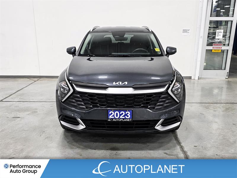 kia Sportage 2023 - 2