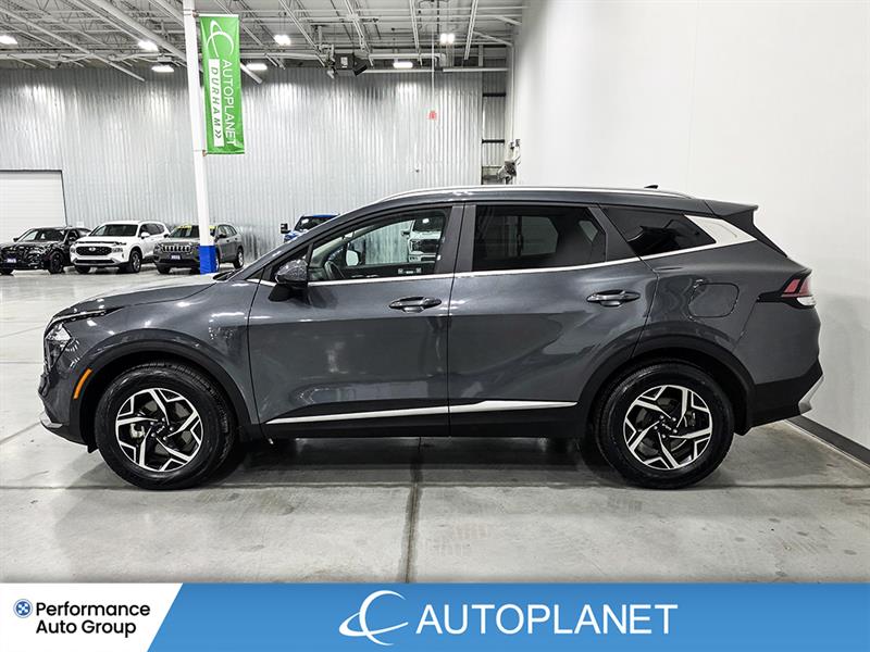 kia Sportage 2023 - 4