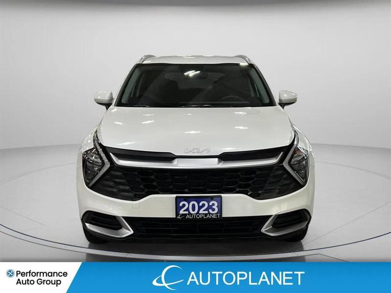 kia Sportage 2023 - 2