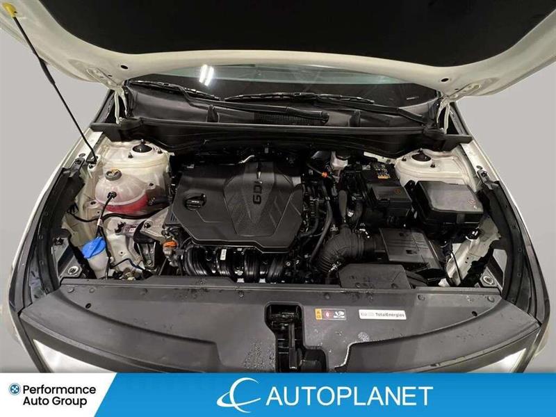 kia Sportage 2023 - 11