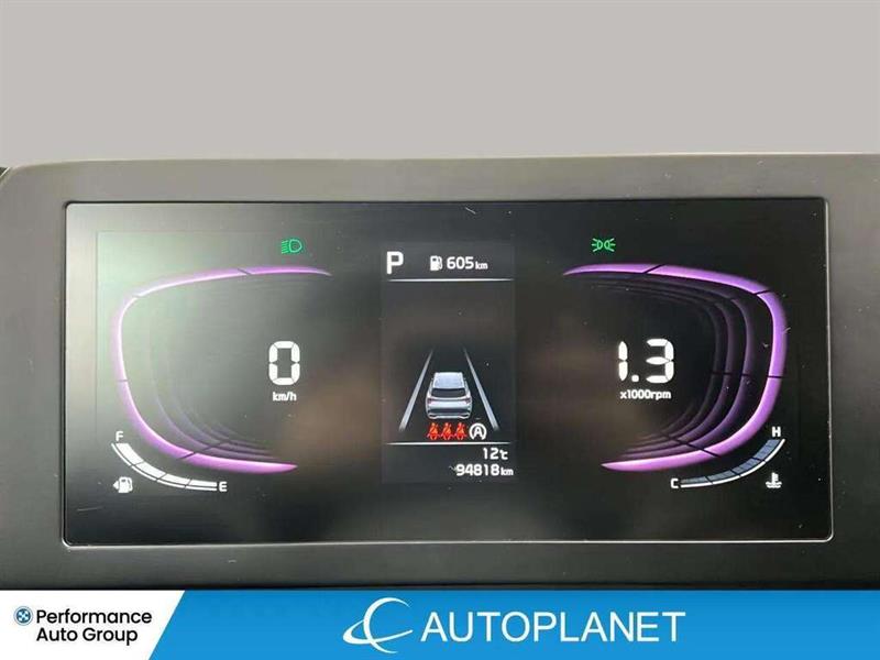 kia Sportage 2023 - 24