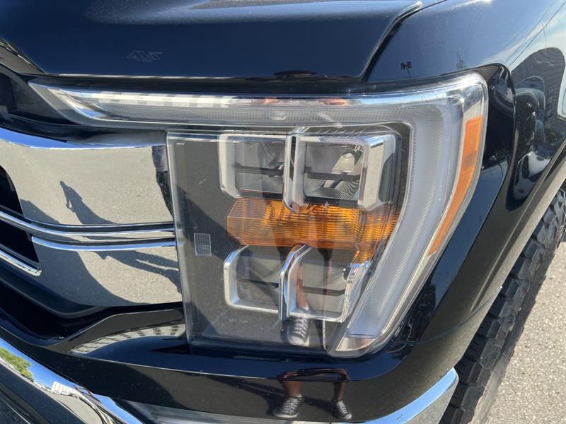 ford F-150 2021 - 12