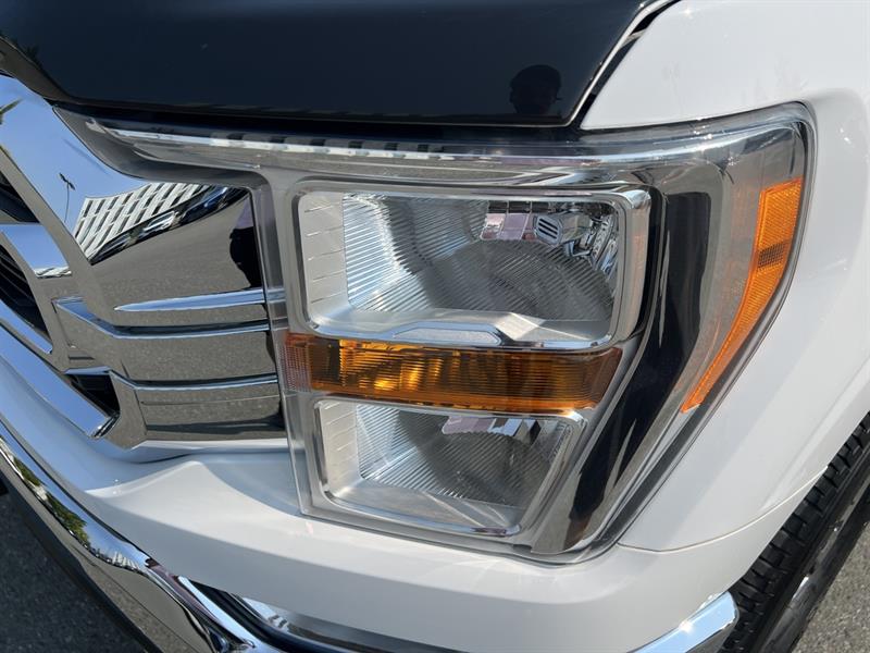 ford F-150 2021 - 12