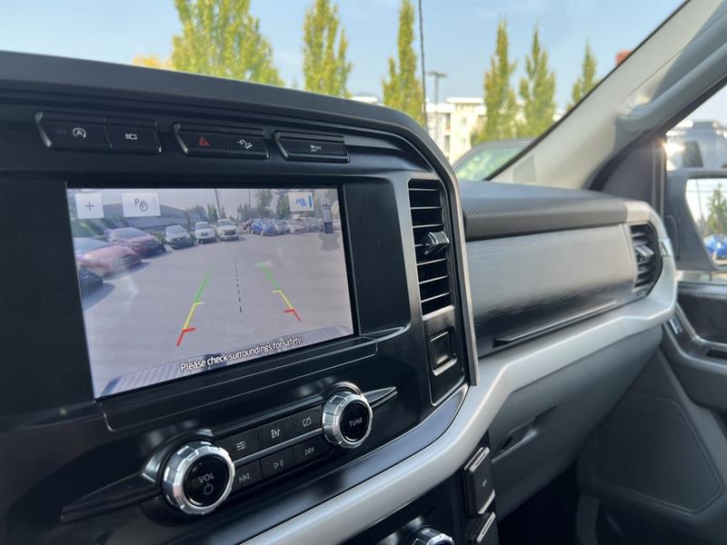 ford F-150 2021 - 19