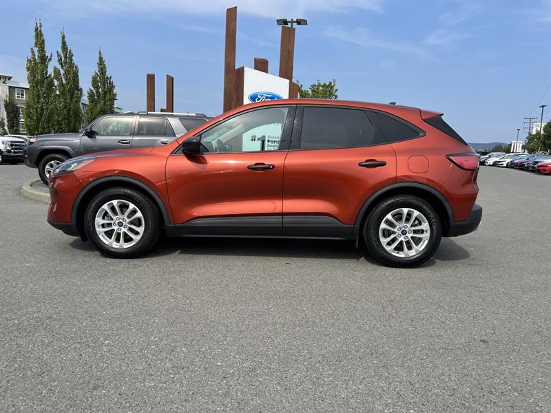 ford Escape 2020 - 3