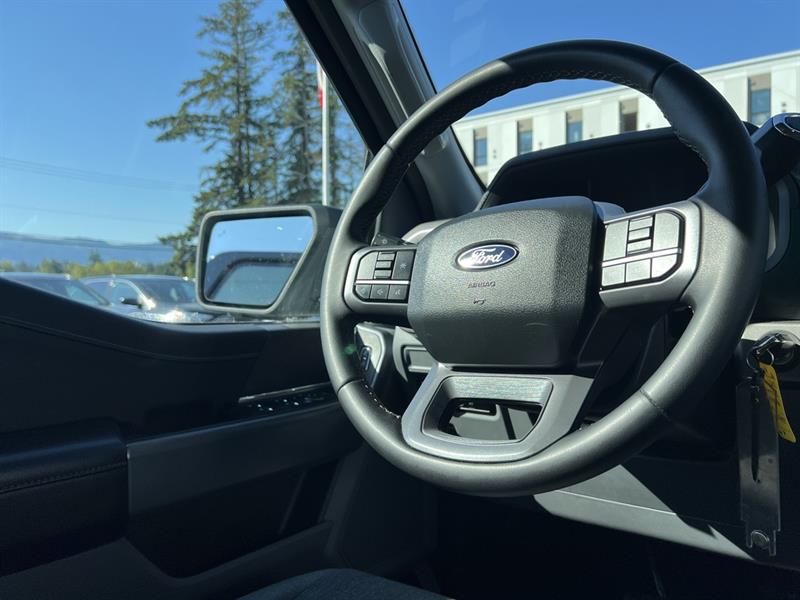 ford F-150 2024 - 16