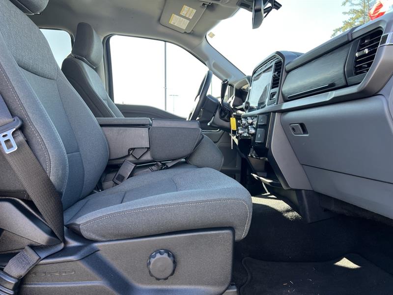 ford F-150 2024 - 25