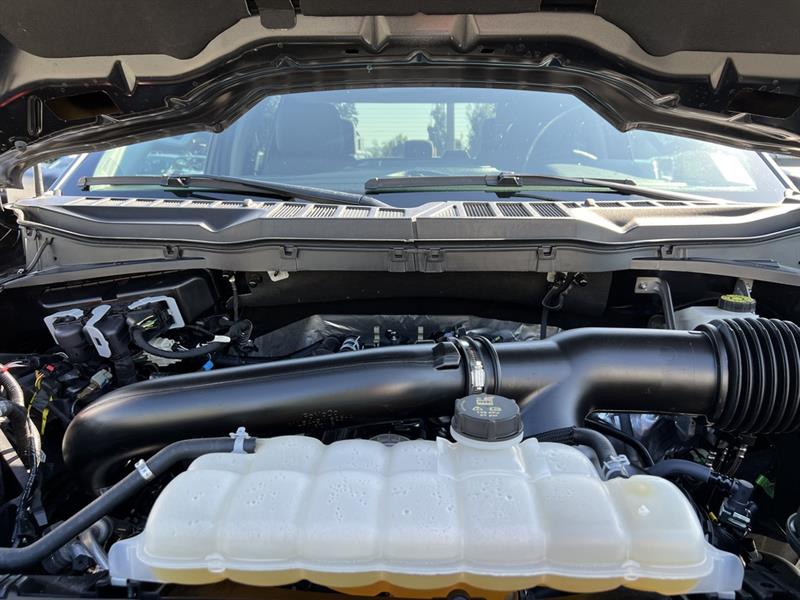 ford F-150 2024 - 30