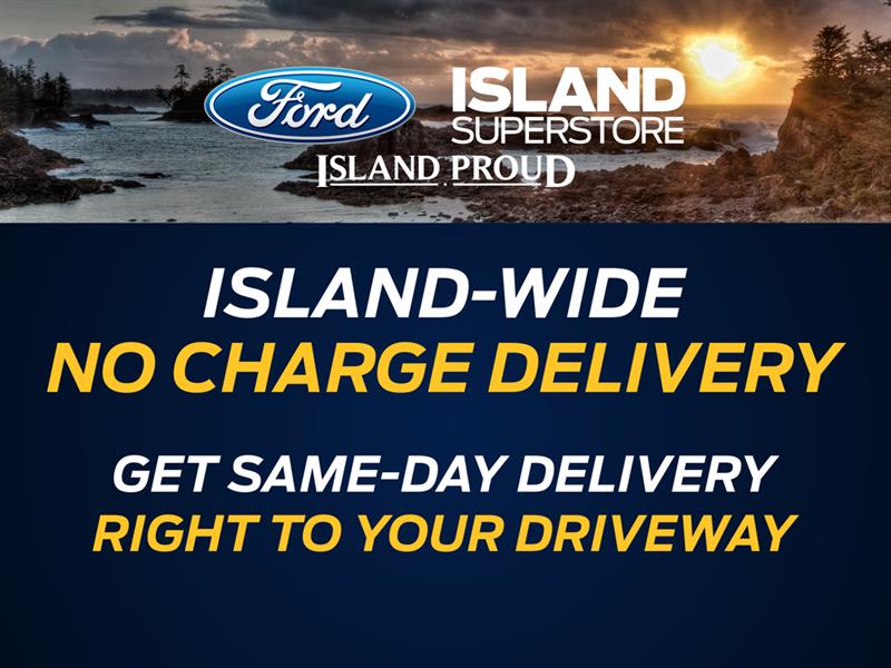 ford Transit tourisme 2019 - 4