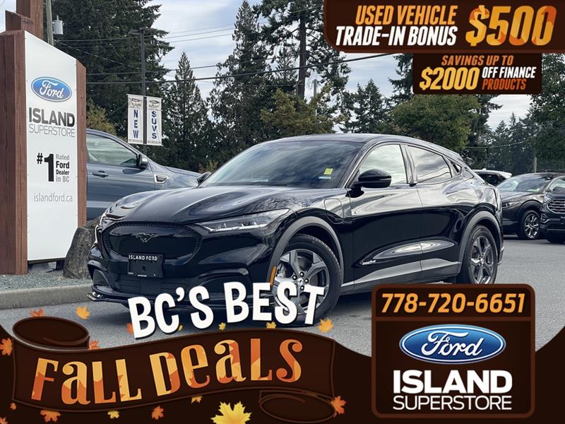 ford Mustang Mach-E 2021