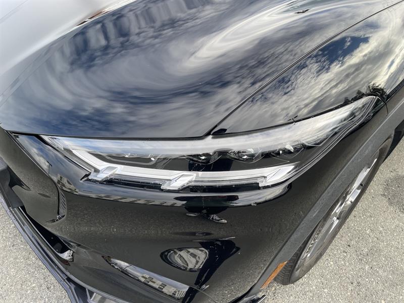 ford Mustang Mach-E 2021 - 14