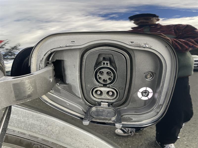 ford Mustang Mach-E 2021 - 17