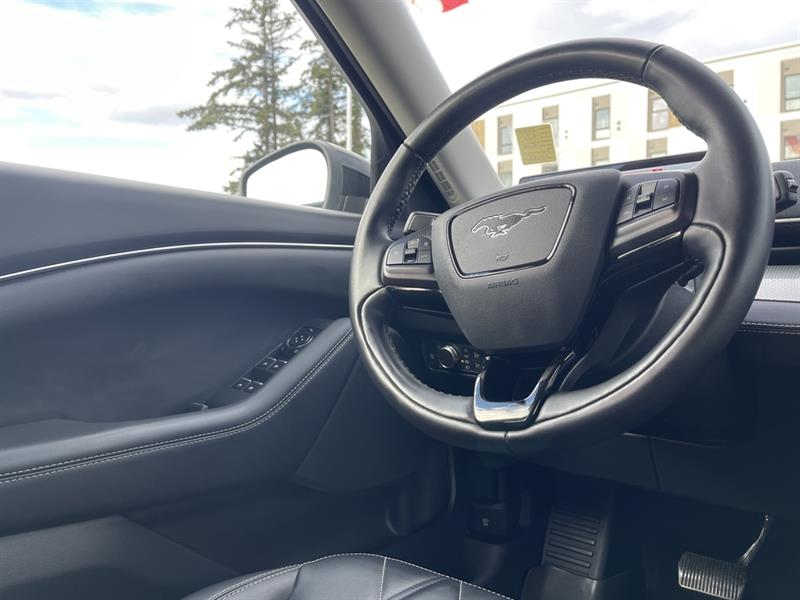 ford Mustang Mach-E 2021 - 20