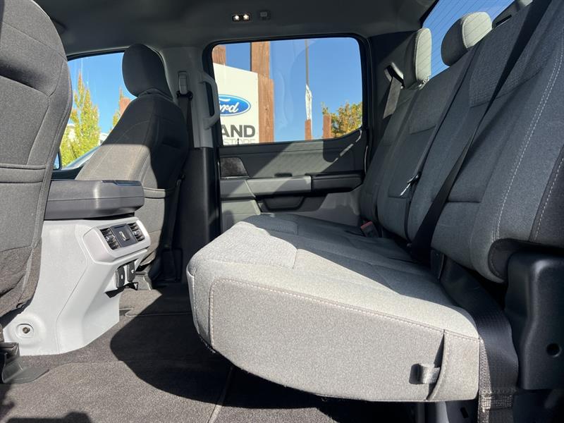 ford F-150 Lightning 2024 - 25