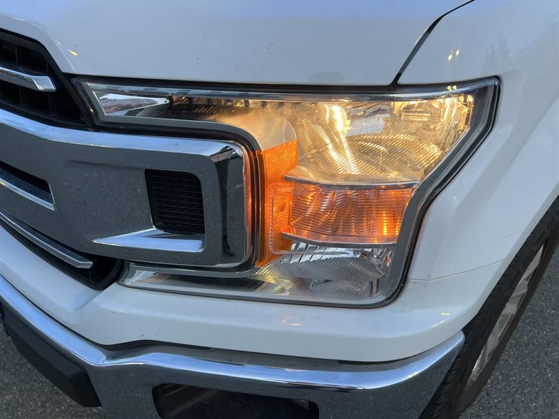 ford F-150 2019 - 13