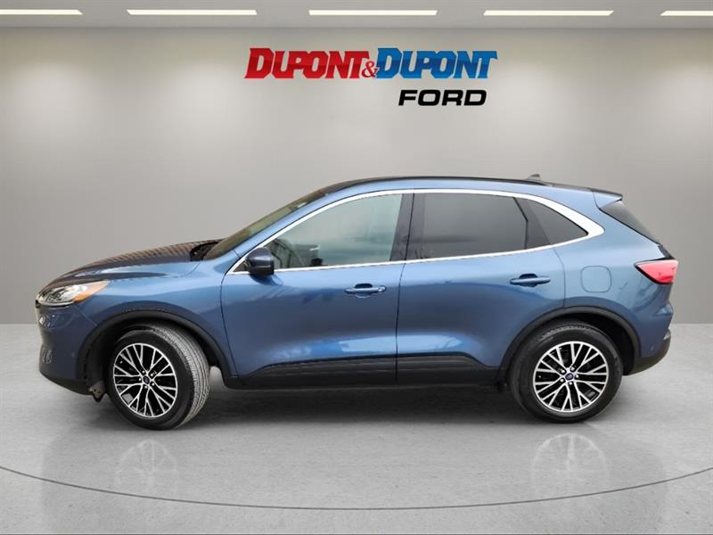 ford Escape 2020 - 2