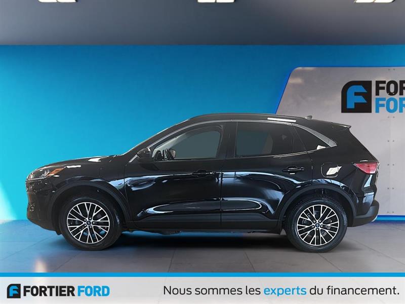 ford Escape Plug-in Hybrid 2021 - 12
