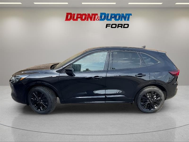 ford Escape 2024 - 2