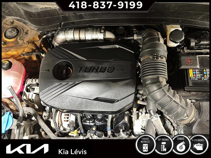 kia Seltos 2022 - 15