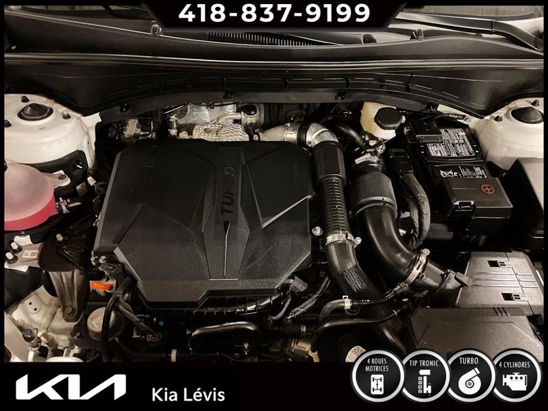 kia Sorento 2022 - 14