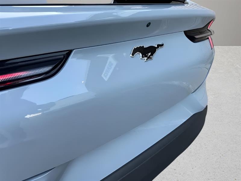ford Mustang Mach-E 2024 - 12