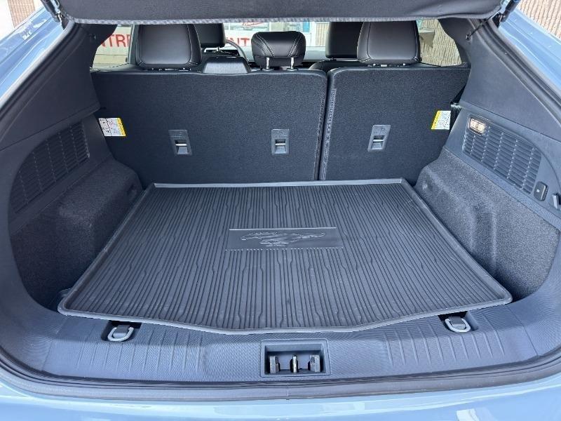 ford Mustang Mach-E 2024 - 20