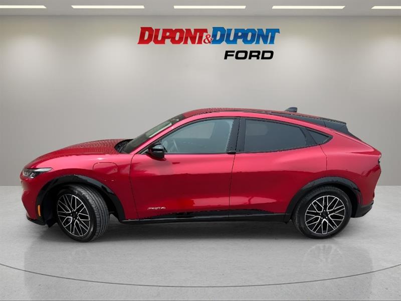 ford Mustang Mach-E 2024 - 2