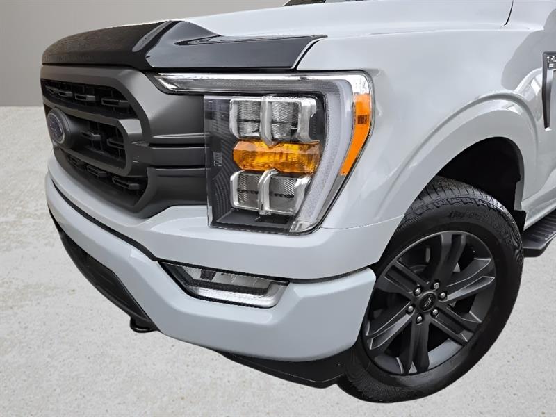 ford F-150 2023 - 9