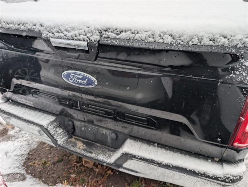 ford F-150 2018 - 10