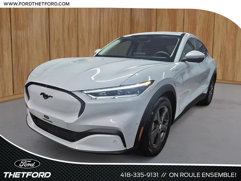 ford Mustang Mach-E 2022