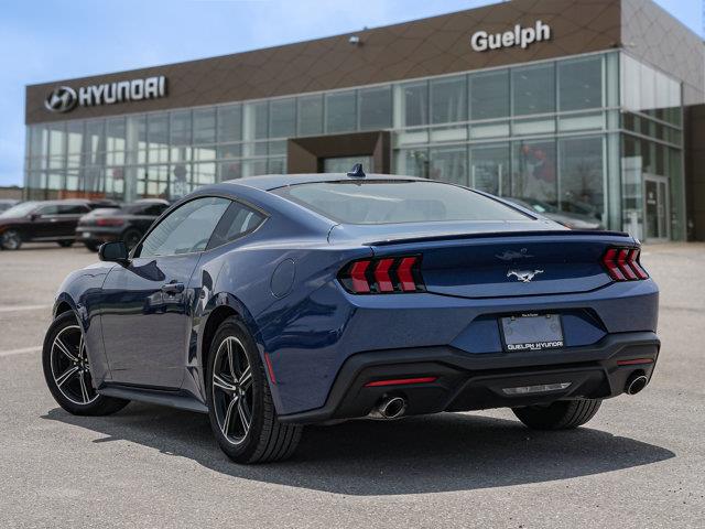 ford Mustang 2024 - 4