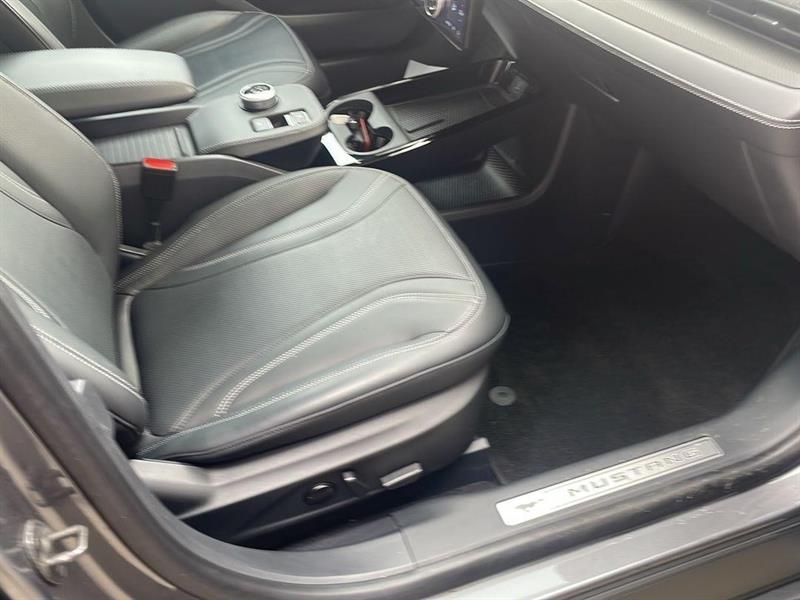 ford Mustang Mach-E 2023 - 19