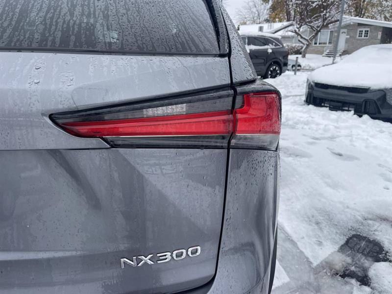 lexus NX 300 2018 - 12