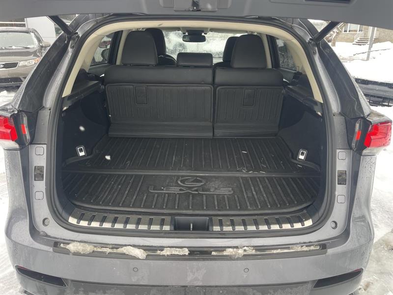 lexus NX 300 2018 - 15