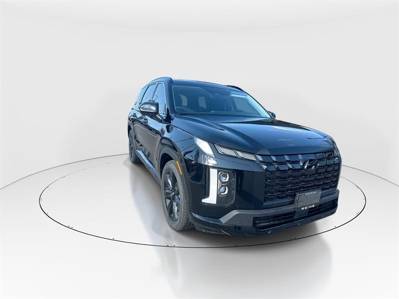 hyundai Palisade 2025 - 3