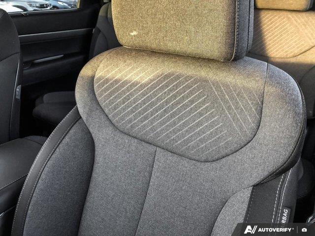 hyundai Palisade 2024 - 19