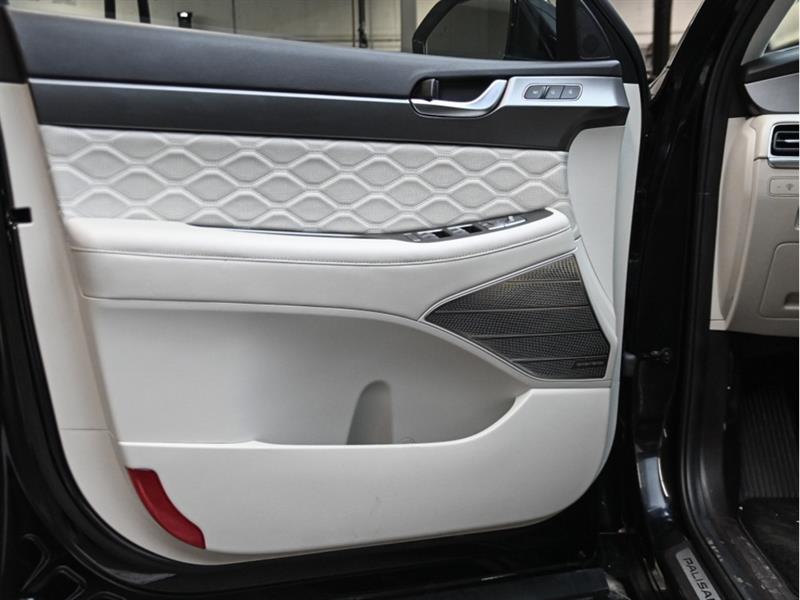 hyundai Palisade 2021 - 9