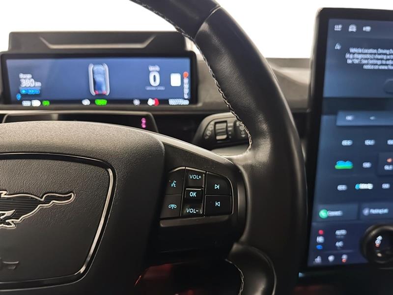 ford MACH E 2021 - 24