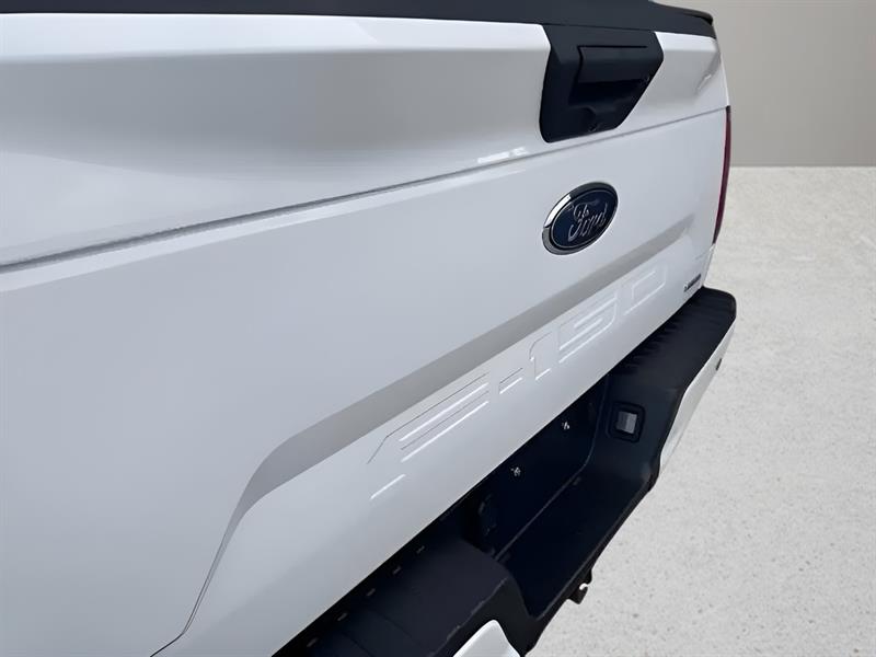 ford F-150 2020 - 15