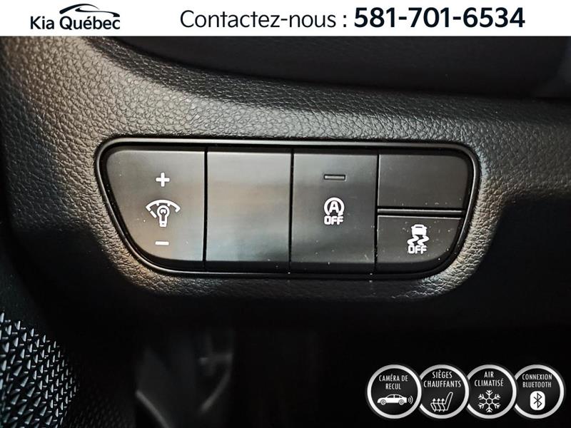 kia Seltos 2024 - 17