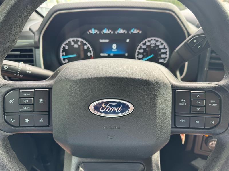 ford F-150 2021 - 25