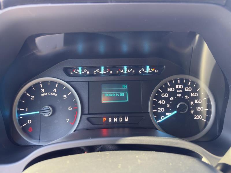 ford F-150 2020 - 11