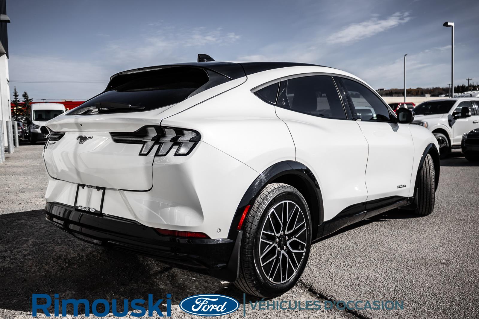 ford Mustang Mach-E 2024 - 7