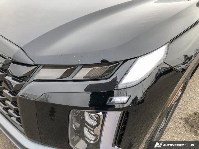 hyundai Palisade 2024 - 10