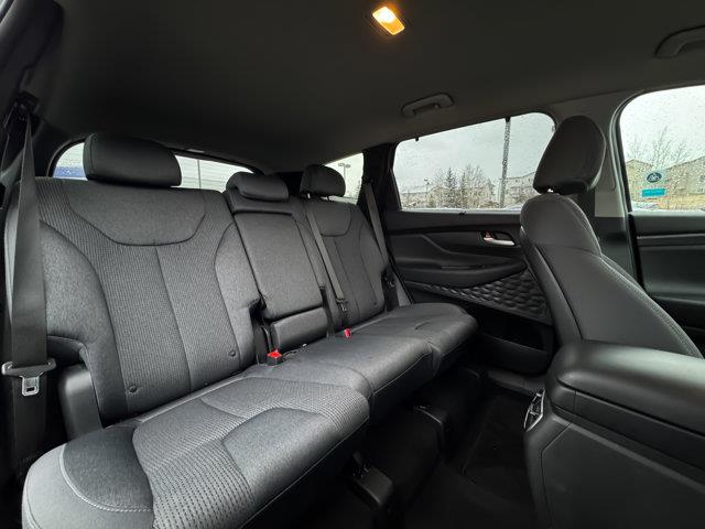 hyundai Santa Fe 2023 - 21