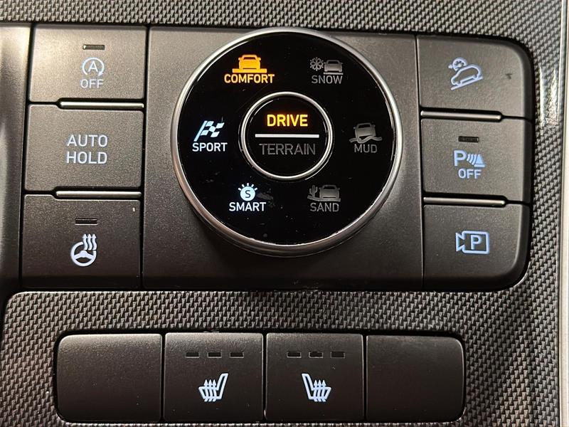 hyundai Santa Fe 2022 - 19